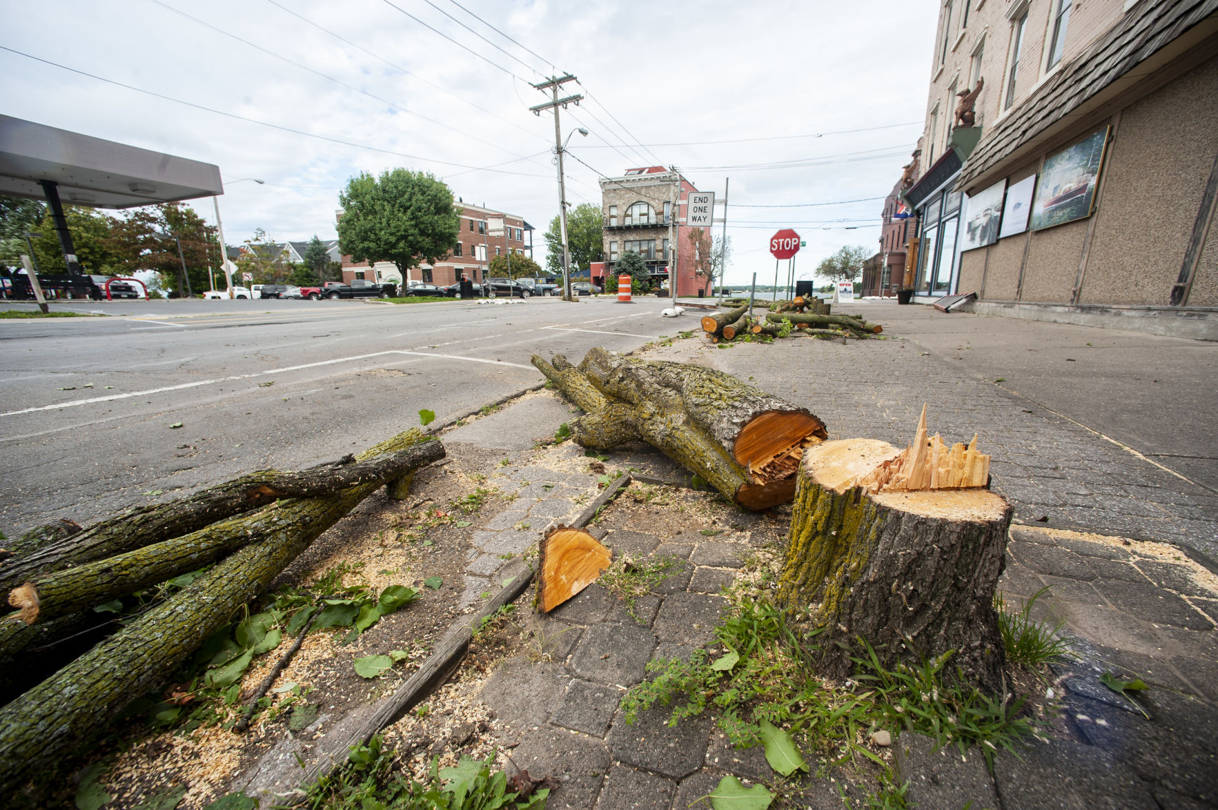 0914_wdj_claytontreeremoval_JH7.JPG